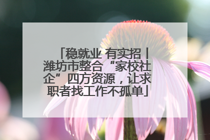 稳就业 有实招丨潍坊市整合“家校社企”四方资源，让求职者找工作不孤单