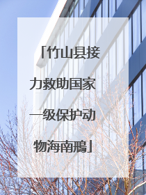 竹山县接力救助国家一级保护动物海南鳽