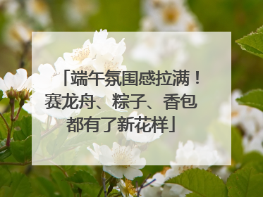 端午氛围感拉满！赛龙舟、粽子、香包都有了新花样