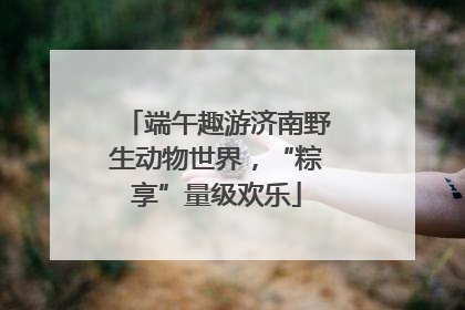 端午趣游济南野生动物世界，“粽享”量级欢乐