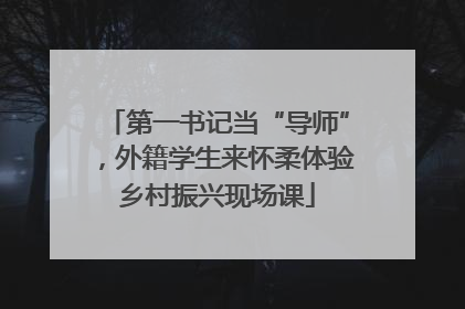 第一书记当“导师”，外籍学生来怀柔体验乡村振兴现场课
