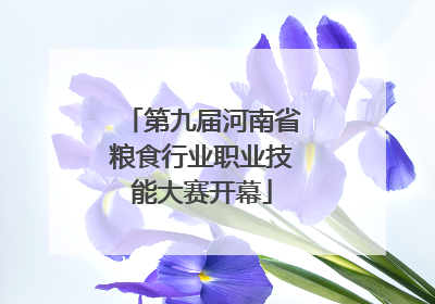 第九届河南省粮食行业职业技能大赛开幕