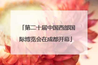 第二十届中国西部国际博览会在成都开幕