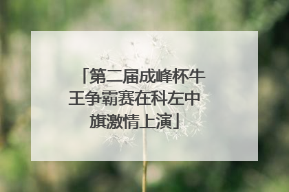 第二届成峰杯牛王争霸赛在科左中旗激情上演