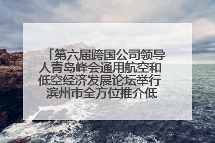 第六届跨国公司领导人青岛峰会通用航空和低空经济发展论坛举行 滨州市全方位推介低空经济发展优势
