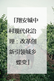 翔安城中村现代化治理：改革创新引领城乡蝶变