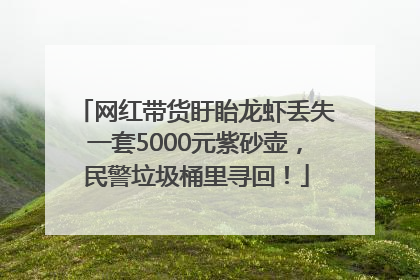 网红带货盱眙龙虾丢失一套5000元紫砂壶，民警垃圾桶里寻回！
