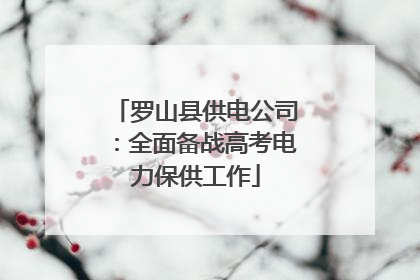 罗山县供电公司：全面备战高考电力保供工作