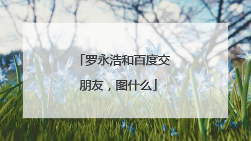 罗永浩和百度交朋友，图什么