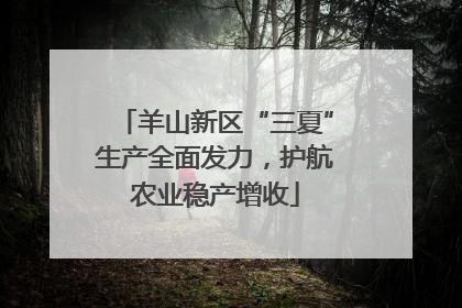 羊山新区“三夏”生产全面发力，护航农业稳产增收