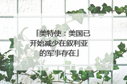 美特使：美国已开始减少在叙利亚的军事存在