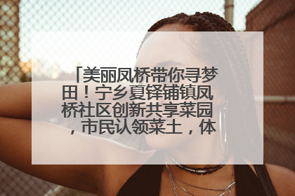 美丽凤桥带你寻梦田！宁乡夏铎铺镇凤桥社区创新共享菜园，市民认领菜土，体验耕种收获乐趣