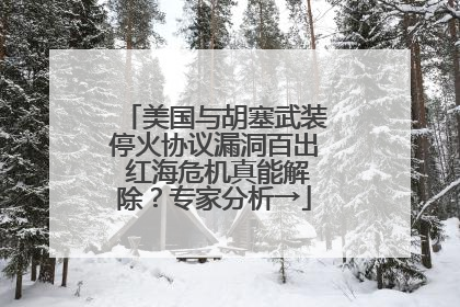 美国与胡塞武装停火协议漏洞百出 红海危机真能解除？专家分析→