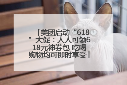 美团启动“618”大促：人人可领618元神券包 吃喝购物均可即时享受