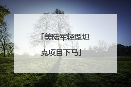 美陆军轻型坦克项目下马