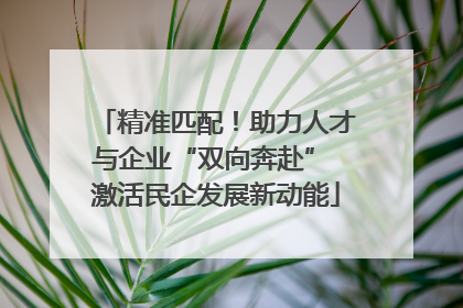 精准匹配！助力人才与企业“双向奔赴” 激活民企发展新动能