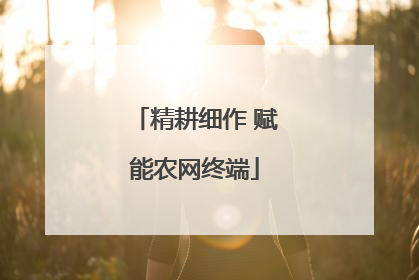 精耕细作 赋能农网终端