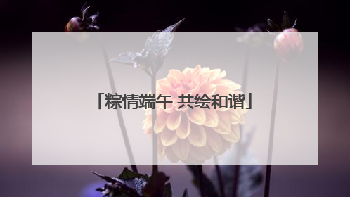 粽情端午 共绘和谐