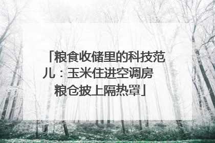 粮食收储里的科技范儿：玉米住进空调房 粮仓披上隔热罩