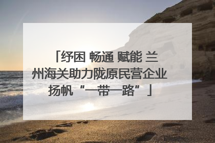 纾困 畅通 赋能 兰州海关助力陇原民营企业扬帆“一带一路”