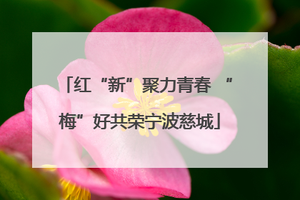 红“新”聚力青春 “梅”好共荣宁波慈城