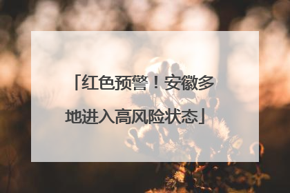 红色预警！安徽多地进入高风险状态