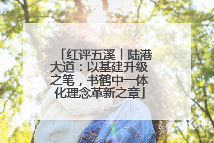 红评五溪丨陆港大道：以基建升级之笔，书鹤中一体化理念革新之章