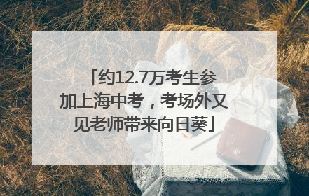约12.7万考生参加上海中考，考场外又见老师带来向日葵