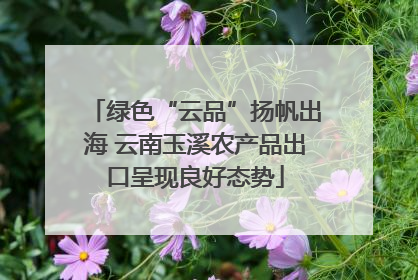 绿色“云品”扬帆出海 云南玉溪农产品出口呈现良好态势