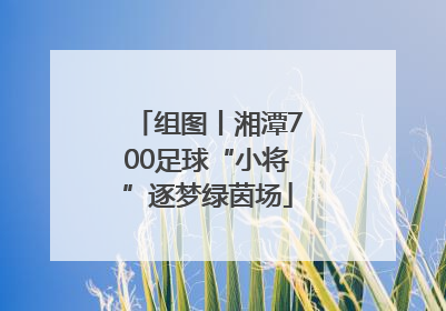组图丨湘潭700足球“小将”逐梦绿茵场