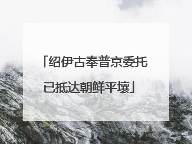 绍伊古奉普京委托已抵达朝鲜平壤