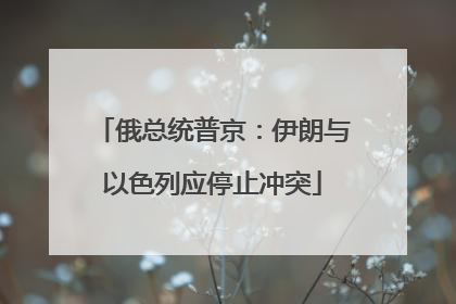 俄总统普京：伊朗与以色列应停止冲突