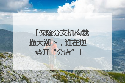 保险分支机构裁撤大潮下，谁在逆势开“分店”