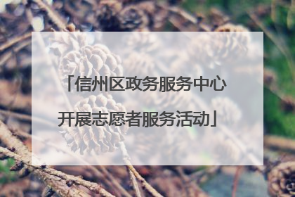 信州区政务服务中心开展志愿者服务活动