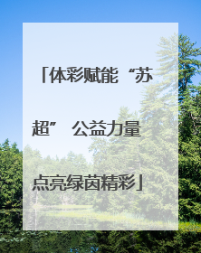 体彩赋能“苏超” 公益力量点亮绿茵精彩