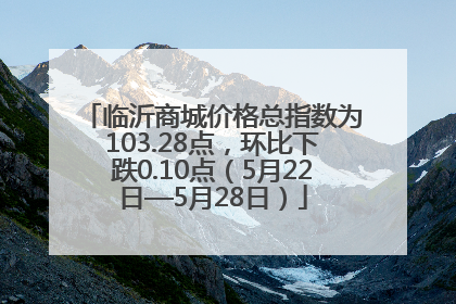 临沂商城价格总指数为103.28点，环比下跌0.10点（5月22日—5月28日）