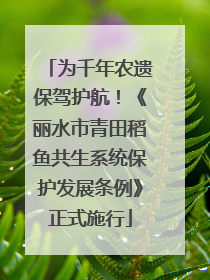 为千年农遗保驾护航！《丽水市青田稻鱼共生系统保护发展条例》正式施行
