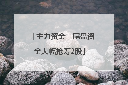 主力资金｜尾盘资金大幅抢筹2股