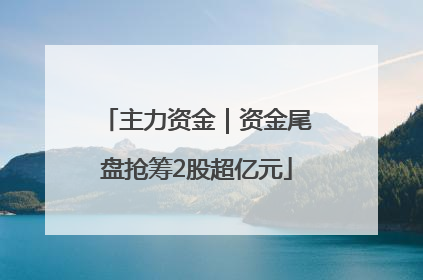 主力资金｜资金尾盘抢筹2股超亿元