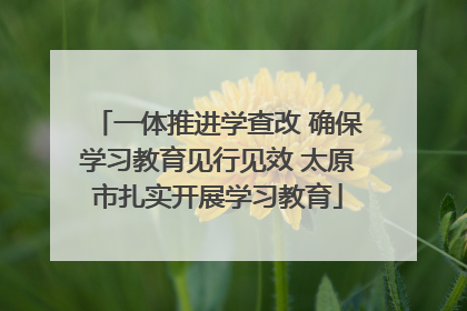 一体推进学查改 确保学习教育见行见效 太原市扎实开展学习教育