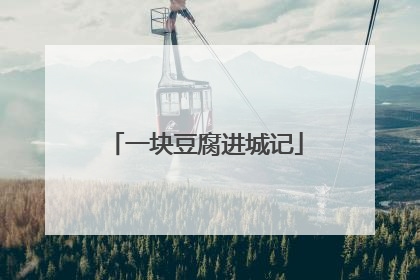 一块豆腐进城记