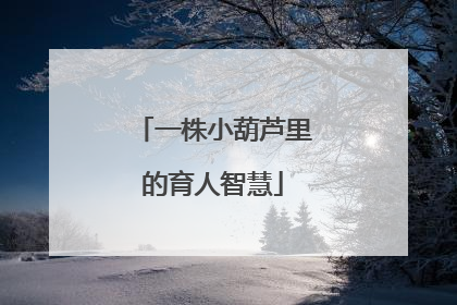 一株小葫芦里的育人智慧