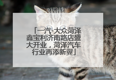 一汽-大众菏泽鑫宝利济南路店盛大开业，菏泽汽车行业再添新翼