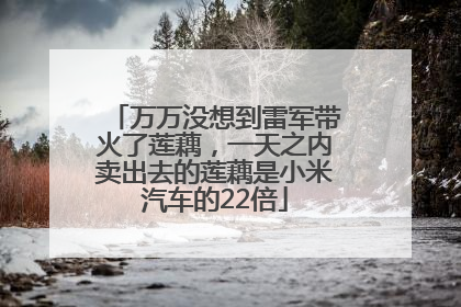 万万没想到雷军带火了莲藕，一天之内卖出去的莲藕是小米汽车的22倍