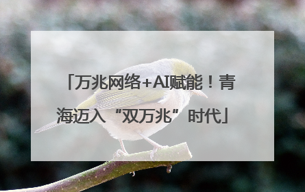 万兆网络+AI赋能！青海迈入“双万兆”时代