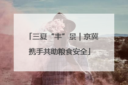 三夏“丰”景｜京冀携手共助粮食安全