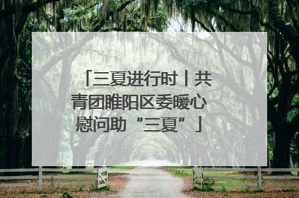 三夏进行时丨共青团睢阳区委暖心慰问助“三夏”