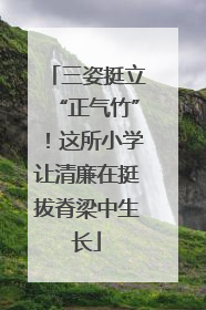 三姿挺立“正气竹”！这所小学让清廉在挺拔脊梁中生长