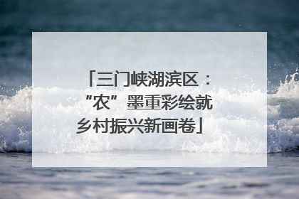 三门峡湖滨区：“农”墨重彩绘就乡村振兴新画卷