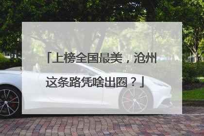 上榜全国最美，沧州这条路凭啥出圈？